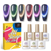 Kit de Esmaltes Ojo De Gato Reflectivos Born Pretty 6und