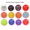 Sweet Color Kit De Gel Paint 12 Tonos
