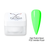 Gel Paint Navi F02 Fluor